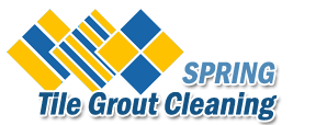 Tile Grout Cleaning Spring