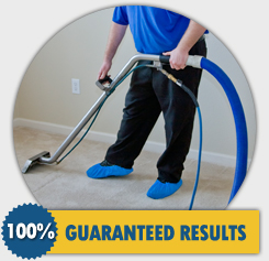 Carpet Steam Cleaners